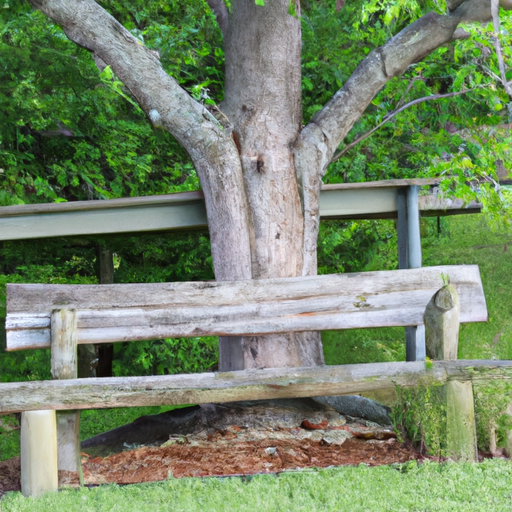 tree bench