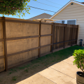 backyard low budget privacy screen